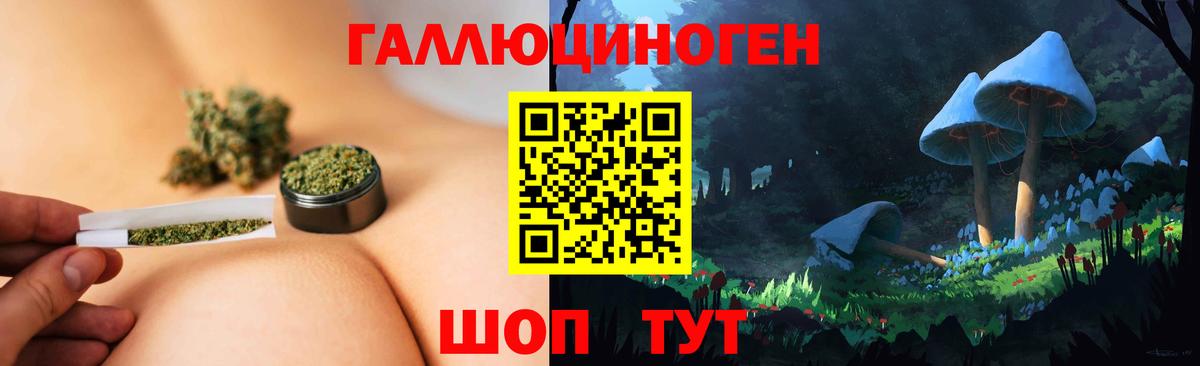 Тара  Псилоцибиновые грибы мицелий  даркнет сайт  Вход с VPN 